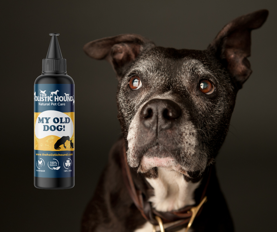 Fundamentals: Seniors